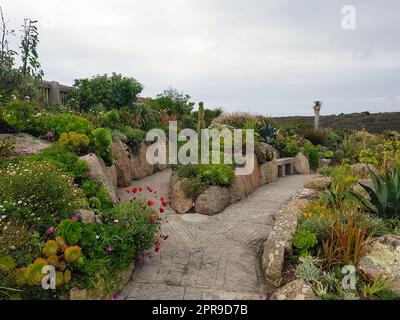 Minack Gardens - Minack Theatre, Porthcurno, Penzance, Cornwall, Royaume-Uni Banque D'Images