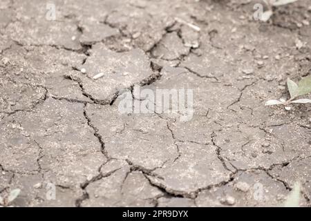 Aucune pluviométrie ne cause de champs secs pendant la sécheresse après une période de chaleur très chaude en été pour les terres humides dont la surface est fissurée et les terres agricoles cassées en raison du changement climatique et du réchauffement de la planète pour les pertes de récolte Banque D'Images