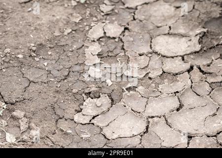 Aucune pluviométrie ne cause de champs secs pendant la sécheresse après une période de chaleur très chaude en été pour les terres humides dont la surface est fissurée et les terres agricoles cassées en raison du changement climatique et du réchauffement de la planète pour les pertes de récolte Banque D'Images