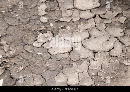 Aucune pluviométrie ne cause de champs secs pendant la sécheresse après une période de chaleur très chaude en été pour les terres humides dont la surface est fissurée et les terres agricoles cassées en raison du changement climatique et du réchauffement de la planète pour les pertes de récolte Banque D'Images