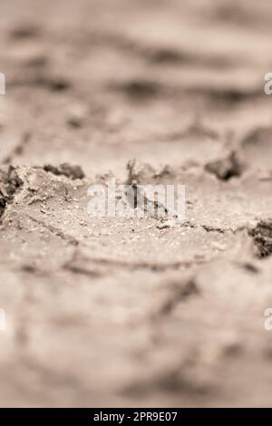 Aucune pluviométrie ne cause de champs secs pendant la sécheresse après une période de chaleur très chaude en été pour les terres humides dont la surface est fissurée et les terres agricoles cassées en raison du changement climatique et du réchauffement de la planète pour les pertes de récolte Banque D'Images