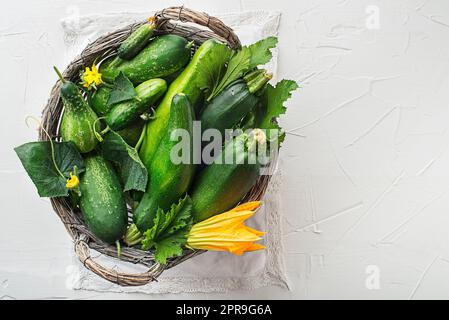 Légumes cultures concombres de courgettes Banque D'Images