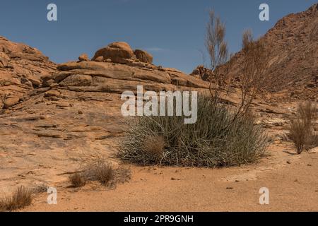 Paysage à la formation rocheuse de Spitzkoppe, Namibie Banque D'Images