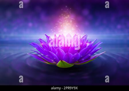 Rose lotus violet lumineux lumière flottante sparkle fond violet Banque D'Images