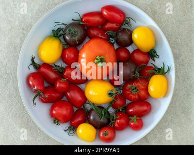 Mélange de variétés de tomates maison dans un bol Banque D'Images