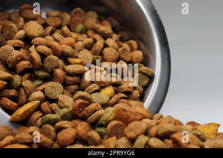 Nourriture sèche pour chats, chiens, versée dans un bol, sur un fond clair. Gros plan. Flou près de l'arrière-plan Banque D'Images
