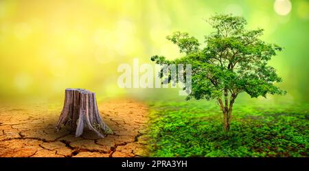 Arbre en deux avec des environnements très différents jour de la Terre ou Journée mondiale de l'environnement réchauffement et pollution de la planète Banque D'Images