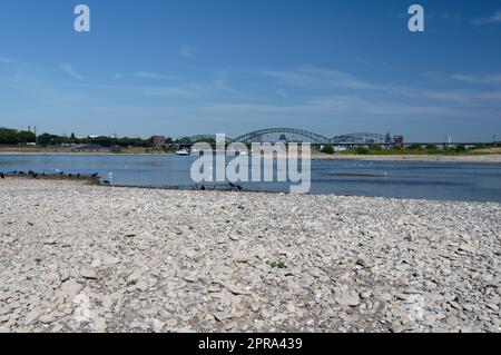 chute du niveau d'eau avec lit de rivière drainé sur le rhin près de cologne Banque D'Images