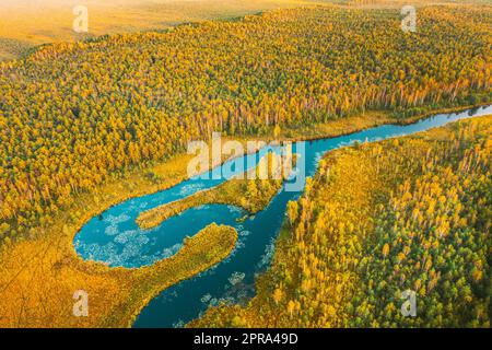 Domzheritsy, région de Vitebsk, Bélarus. Rivière Buzyanka. Vue aérienne du paysage de la rivière courbée en été en soirée d'automne. Vue de dessus de la belle nature européenne de haute attitude en été Banque D'Images