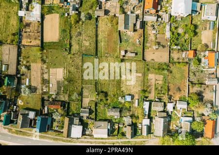 Biélorussie, Europe. Vue aérienne de la petite ville, Village Cityscape Skyline en été. Quartier résidentiel, maisons et lits de jardin de légumes avec vue panoramique Banque D'Images