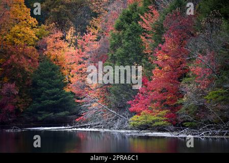 La vue sur le lac de Bays Mountain lors d'une journée d'automne montre de belles couleurs. La couleur est reflétée dans l'eau vitreux. Le lac est situé dans le parc de Bays Mountain, Kings Banque D'Images