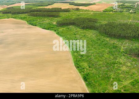 Vue aérienne du champ et de la zone de déforestation Paysage. Vue de dessus de Field et Green Pine Forest Landscape. La déforestation industrielle à grande échelle pour étendre les champs agricoles Banque D'Images