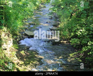 Forest brook fonctionnant sur les roches moussues Banque D'Images