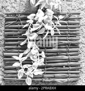 Noir et blanc de feuilles de plantes fraîches sur une décoration en bambou sorbrée sur le mur Banque D'Images