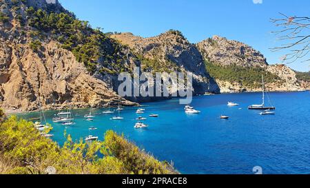 Plage naturelle Platja des Coll Baix, Alcudia, Majorque Banque D'Images