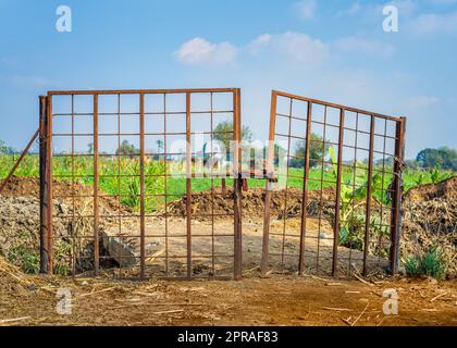 Porte rouillée de l'enclos de ferme en campagne Banque D'Images