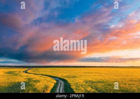 Vue aérienne d'un véhicule utilitaire sport stationné près de Countryside Road dans Spring Field Rural Landscape. Graine de colza en fleurs, graine d'oléagineux dans la prairie de campagne en saison printanière. Fleur de fleurs jaunes de canola Banque D'Images