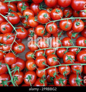 Im Bältigen (Solanum lycopersicum) im Gemüsegeschäft Banque D'Images