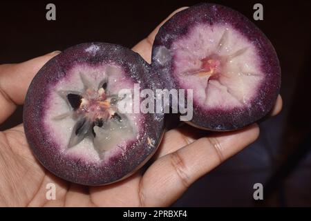 Chrysophyllum caïnite ou pomme ou caimite. Banque D'Images