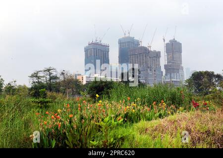 Benchakitti Forest Park à Bangkok, Thaïlande. Banque D'Images