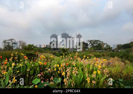 Benchakitti Forest Park à Bangkok, Thaïlande. Banque D'Images