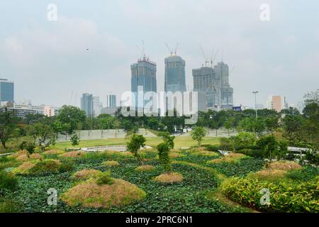 Benchakitti Forest Park à Bangkok, Thaïlande. Banque D'Images