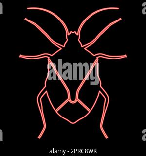 Neon bug bedbug Chinch True bugs Hemipterans insecte insecte rouge vecteur couleur illustration image plate style Illustration de Vecteur