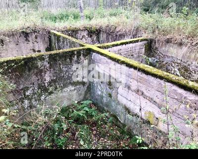 Ciment de ciment de béton ancien fond souterrain inachevé d'un bâtiment en ruines surcultivé avec de la mousse verte. Banque D'Images
