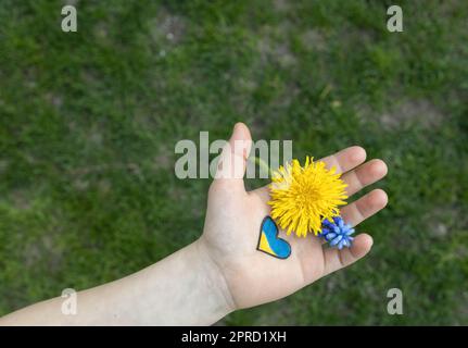 main d'un petit enfant avec coeur dessiné sur le palmier, fleurs jaunes et bleues sur fond d'herbe verte Banque D'Images