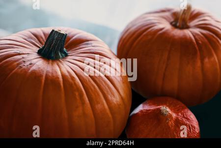 Mûre et prête pour Thanksgiving. Une collection de citrouilles mûres à la maison. Banque D'Images