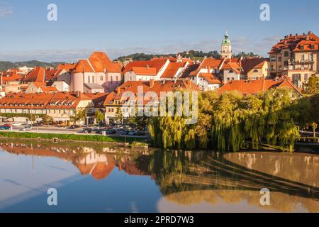 Quartier prêté à Maribor, Slovénie. Promenade populaire au bord de l'eau avec des bâtiments historiques et la plus ancienne vigne de raisin d'Europe. Banque D'Images