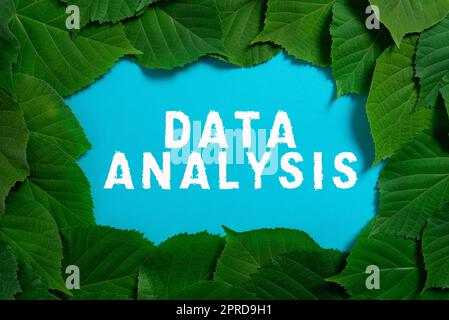 Légende présentant l'analyse des données. Aperçu de l'entreprise traduire les chiffres en conclusion analytique prévision des informations importantes écrites sur papier sous le lot de feuilles. Banque D'Images