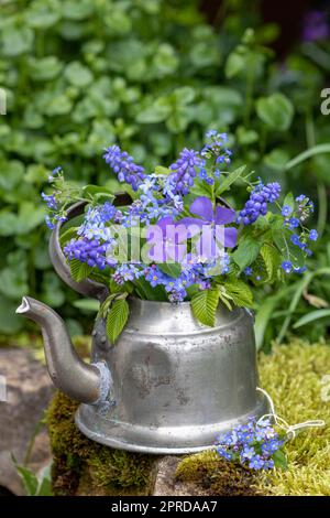Bouquet de fleurs periwinkle, muscari, oubliez-moi pas de fleurs et Marie aux yeux bleus dans pot de thé vintage Banque D'Images