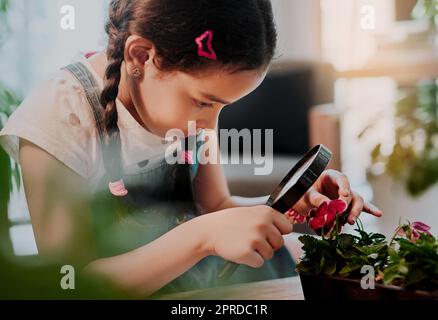 Il est temps d'explorer quelques fleurs. Une adorable petite fille regardant à travers une loupe tout en analysant les plantes à la maison. Banque D'Images