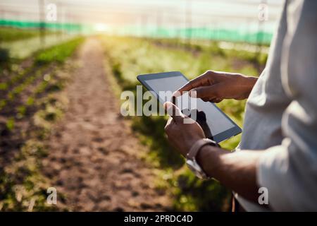 La technologie rend l'agriculture beaucoup plus simple. un fermier mâle méconnaissable utilisant une tablette tout en travaillant sur sa ferme Banque D'Images