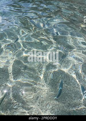 Poissons dans la mer de ​​Cala Mariolu Sardaigne Banque D'Images