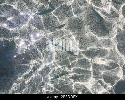 Poissons dans la mer de ​​Cala Mariolu Sardaigne Banque D'Images