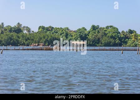 Le lac Hikkaduwa au nord-est de la même ville touristique Hikkaduwa au Sri Lanka Banque D'Images