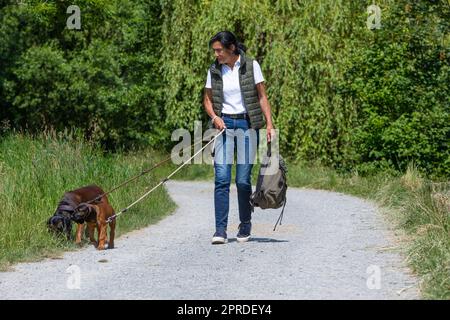 femme avec deux chiens sniffer sur une route de gravier Banque D'Images