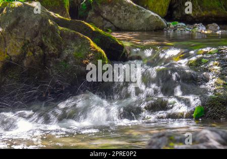 pierres couvertes de mousse dans un ruisseau de montagne Banque D'Images