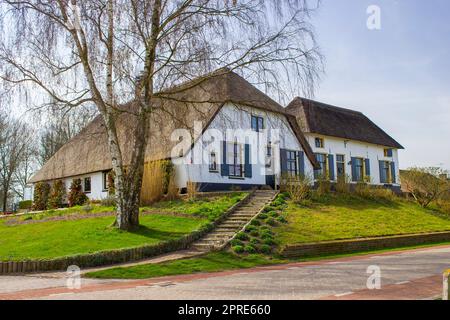 Maison hollandaise typique avec toit de paille, avec jardin vert. Maison de campagne, pays-Bas Banque D'Images