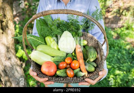 Le fermier se tient dans le jardin et tient un panier en bois avec des légumes faits maison dans ses mains. Mise au point sélective. Le concept de la récolte du jardin, gros plan. Agriculture. Banque D'Images