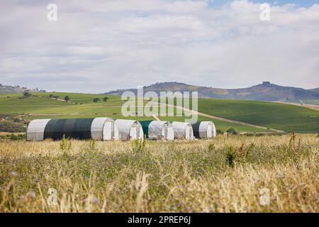 Tout est calme à la ferme aujourd'hui. côtelettes de poulet sur une ferme le long de la montagne Banque D'Images