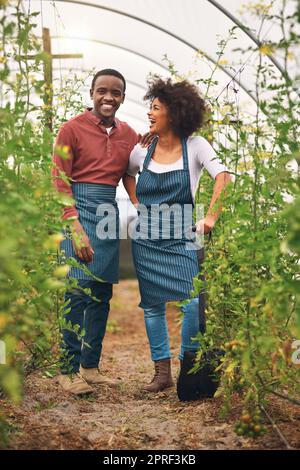 Nous exécutons cette ferme ensemble. Prise de vue en longueur d'un jeune couple de fermes debout dans l'un de leurs vignobles. Banque D'Images