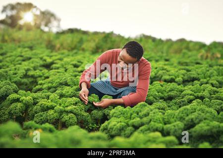 HES toujours dans le champ. Un beau jeune agriculteur masculin travaillant dans les champs. Banque D'Images