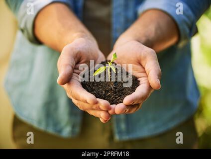 L'espoir naît éternel. Un fermier inidentifiable tenant une pile de sol avec une plantule qui en pousse. Banque D'Images