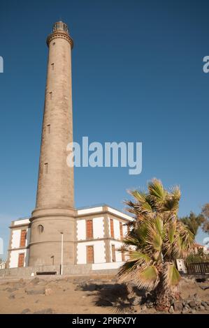 Le phare de Maspalomas est à côté de deux palmiers du désert. Banque D'Images