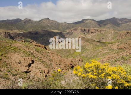 Paysage accidenté dans le sud-ouest de Gran Canaria. Banque D'Images