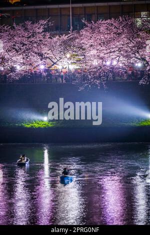 De Chidorigafuchi qui va voir des cerisiers en fleurs la nuit Banque D'Images