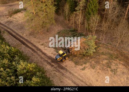 Photographie par drone d'une machine forestière piquant de petits arbres et transportant pendant l'aube de printemps trouble. Banque D'Images